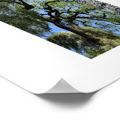 Knots Reflection Photography ポスター (角)