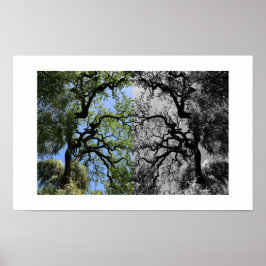 Knots Reflection Photography ポスター