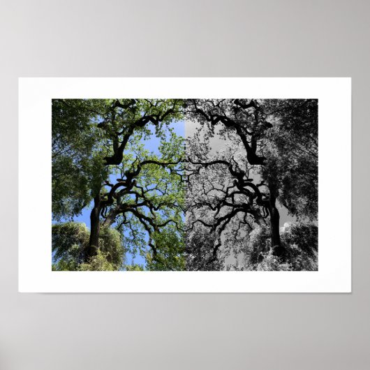 Knots Reflection Photography ポスター (正面)