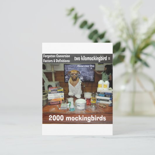 Knowledge Dog Conversion忘れ kilomockingbird ポストカード (スタンド正面)