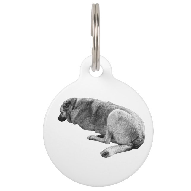 Known by Calm ペット　ネームタグ (正面)