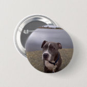 Koa Vasona公園 缶バッジ (正面&裏面)