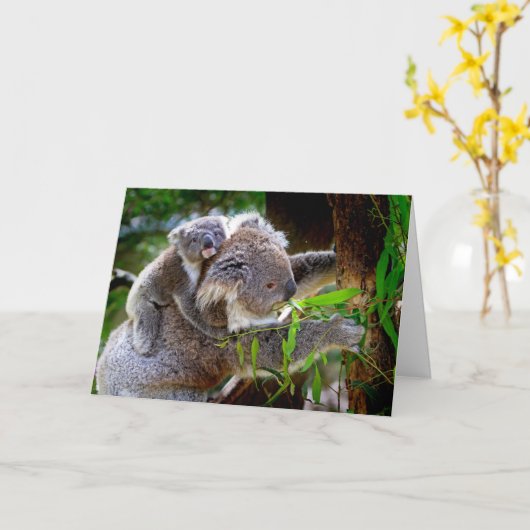 KoalaとJoey Mothers Day Card カード (黄色い花)