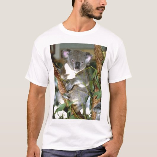 koala2 tシャツ (正面)