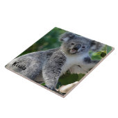 Koala：かわいい可愛いオーストラリアのコアラ タイル (側面)