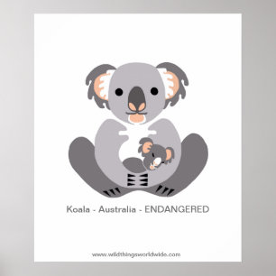 Koala – ポスター