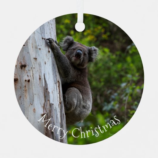 Koala Australia Merry Christmas メタルオーナメント (正面)
