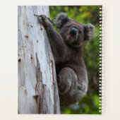 Koala Australia Photo Collage, Green 2025 プランナー手帳 (裏面)