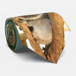 Koala bear -3, ネクタイ