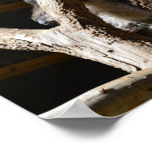 Koala Bear In Cubby House，ポスター ポスター (角)