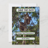 Koala Bear Save The Date Australiaスタイル、 セーブザデート (正面)