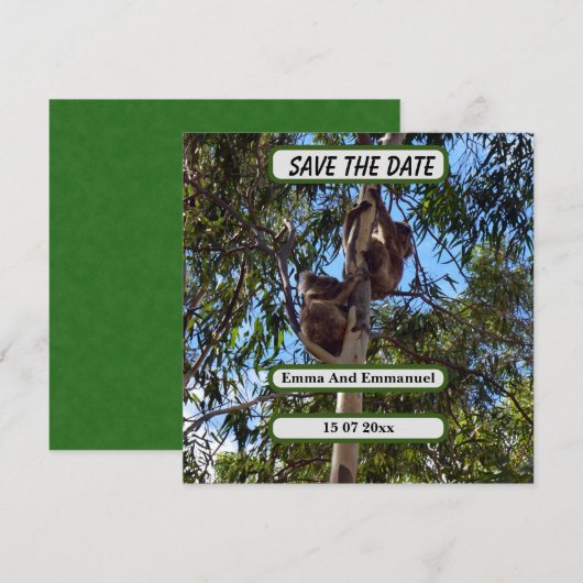 Koala Bear Save The Date Australiaスタイル、 案内状 (正面/裏面)