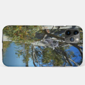 Koala Bear Sleeping River Murray Australia, Case-Mate iPhoneケース (裏面(横))