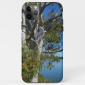 Koala Bear Sleeping River Murray Australia, Case-Mate iPhoneケース (裏面)