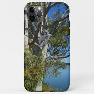 Koala Bear Sleeping River Murray Australia, iPhone 11 Pro Maxケース