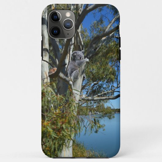 Koala Bear Sleeping River Murray Australia, Case-Mate iPhoneケース (裏面)