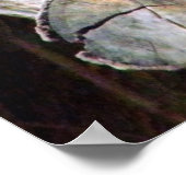 Koala Bears_Poster ポスター (角)