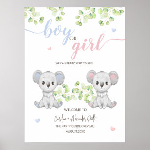 Koala Gender Revealのポスターパーティー。 ポスター