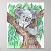 Koala in Eucalyptus Tree Painting ポスター (正面)