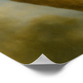 Koala in Quiet Light ポスター (角)