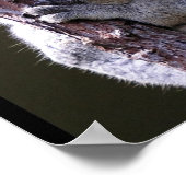 Koala in Tree Poster ポスター (角)