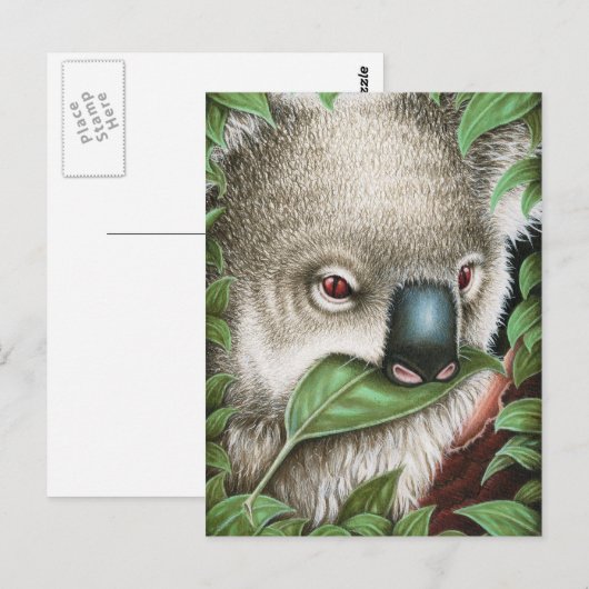 Koala Munching a Leafはがき ポストカード (正面/裏面)