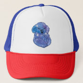 Koala named Seven キャップ (正面)