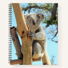 Koala Notebook - 8.5 x 11、8.5 x 8.5、またはハートシェイプ ノートブック