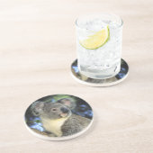 Koala, Phascolarctos cinerus)，オーストラリア， コースター (側面)