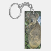 Koala, Phascolarctos cinerus)，絶滅危惧種， キーホルダー (正面左)
