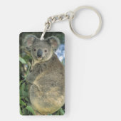 Koala, Phascolarctos cinerus)，絶滅危惧種， キーホルダー (裏面)