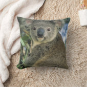 Koala, Phascolarctos cinerus)，絶滅危惧種， クッション (ブランケット)