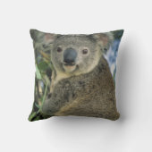 Koala, Phascolarctos cinerus)，絶滅危惧種， クッション (裏面)