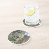 Koala, Phascolarctos cinerus)，絶滅危惧種， コースター (側面)
