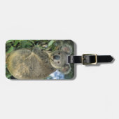 Koala, Phascolarctos cinerus)，絶滅危惧種， ラゲッジタグ (正面横)