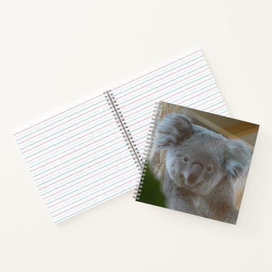 Koala Portrait Notebook ノートブック (内部)