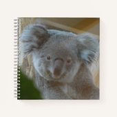 Koala Portrait Notebook ノートブック (正面)