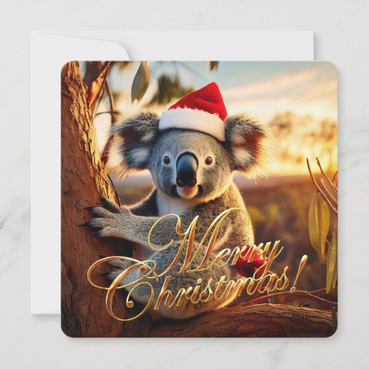 Koala sitting in Gumtree Merry Christmas シーズンカード (正面)