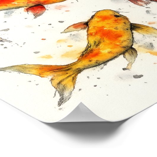 Koi Fish  ポスター (角)