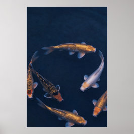 Koi Fish in Deep Blue Water Zen Poster ポスター