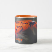 Koi, Pez Carpa マグカップ (中央)