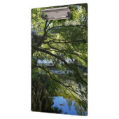 Koi Pond in Chinese Garden クリップボード (左)