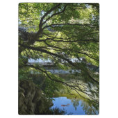 Koi Pond in Chinese Garden クリップボード (裏面)