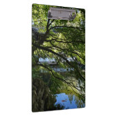 Koi Pond in Chinese Garden クリップボード (右)