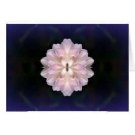 Koinonia "道の団体"