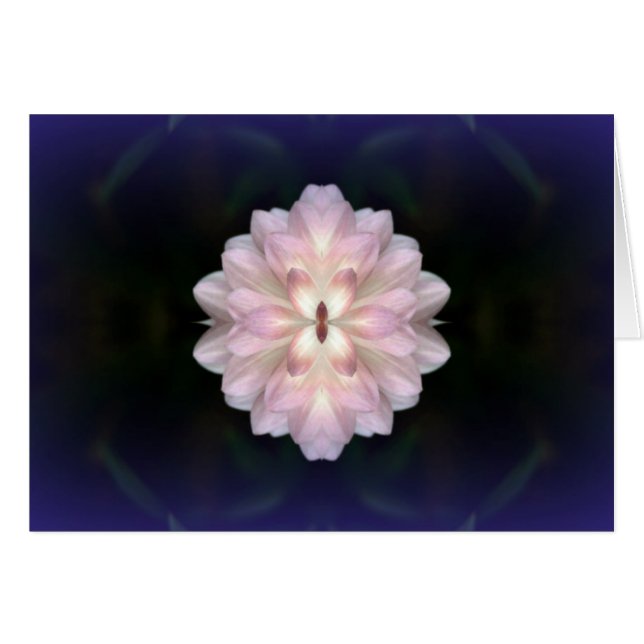 Koinonia   "道の団体" (正面横)