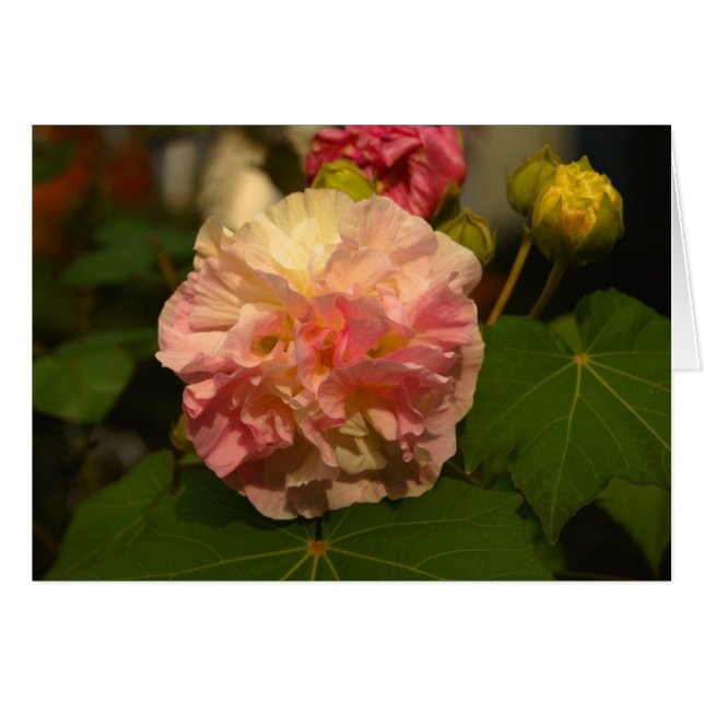 Koinonia   "道の団体" (正面横)