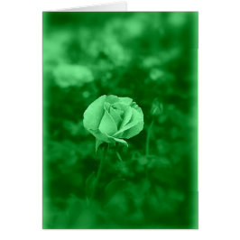 Koinonia "道の団体"