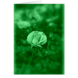 Koinonia "道の団体"