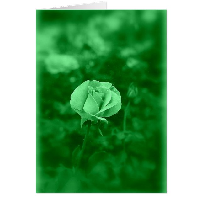 Koinonia   "道の団体" (正面)